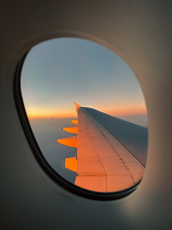 pexels photo 35473348.jpeg