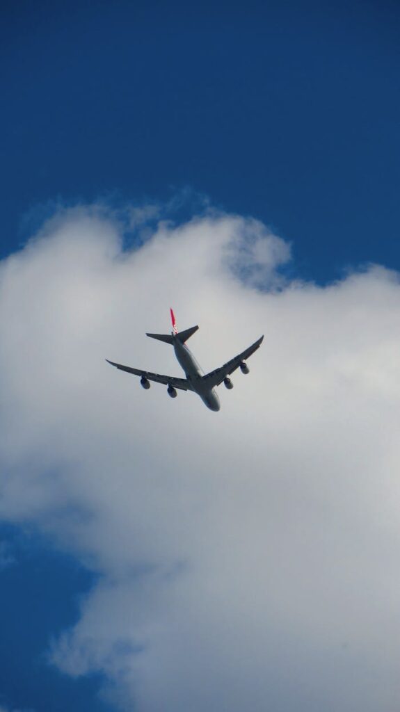 pexels photo 35478140.jpeg